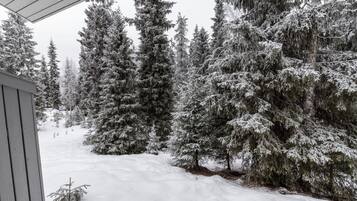 Un paysage enneigé, avec de grands arbres à feuilles persistantes et une structure en bois.