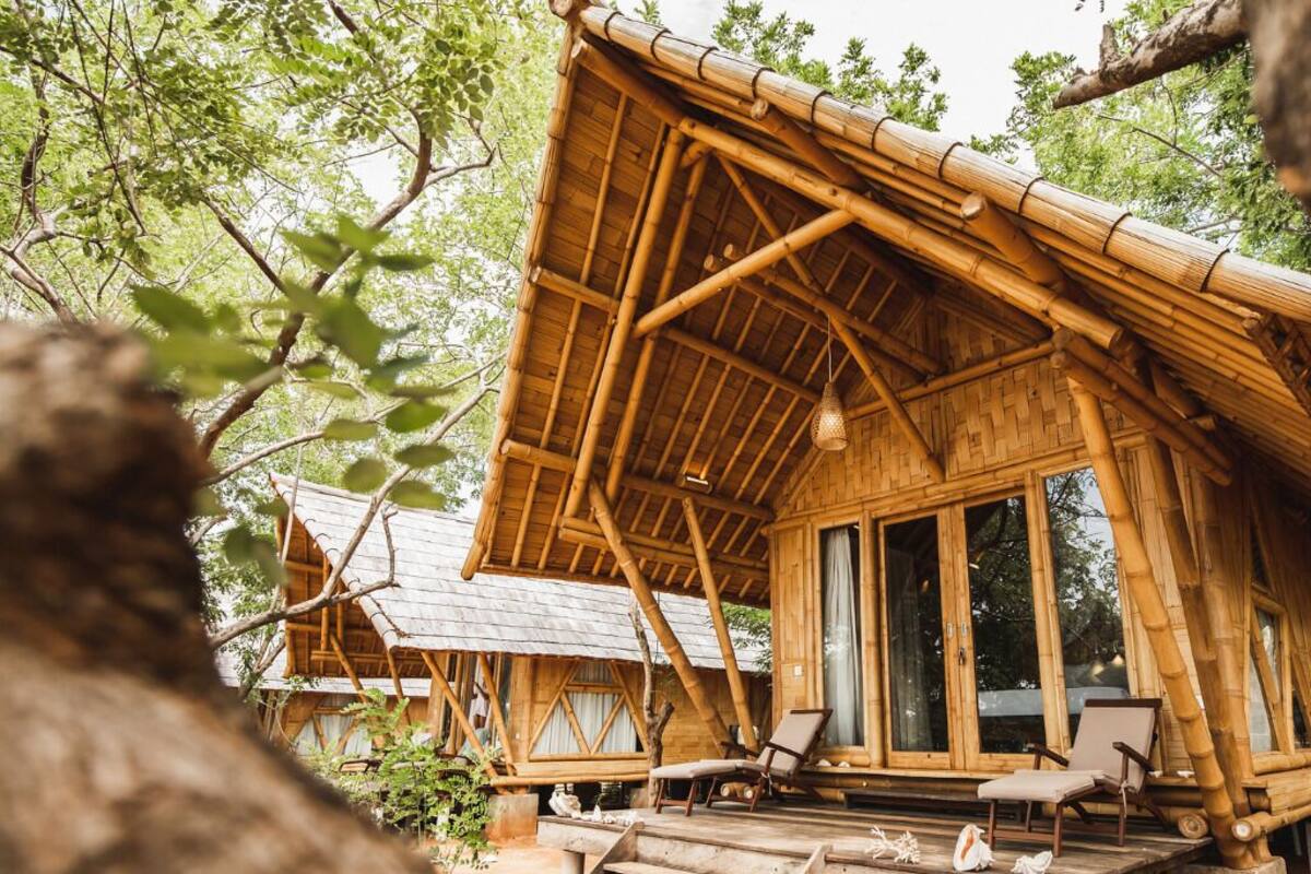 Een houten chalet met rieten dak, gelegen in een bebost gebied.