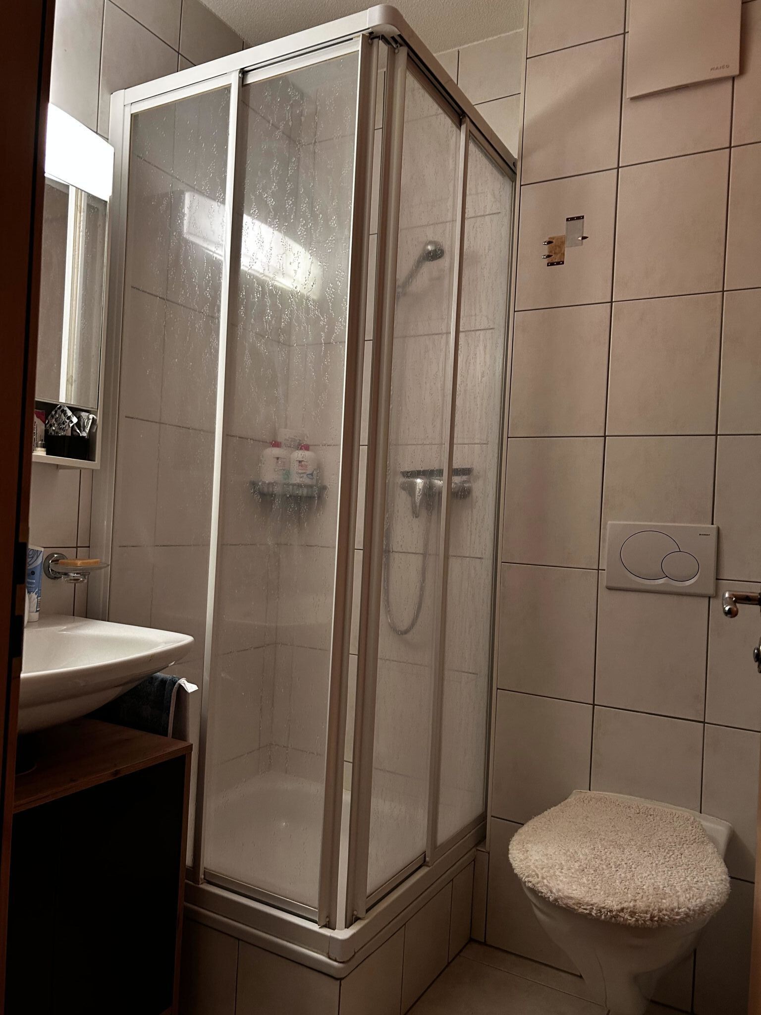 Ein Badezimmer mit Duschkabine, Waschbecken und Toilette.