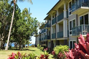 A multi-story hotel with balconies, surrounded by lush greenery and palm trees.