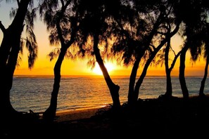 Ligstoelen aan het strand