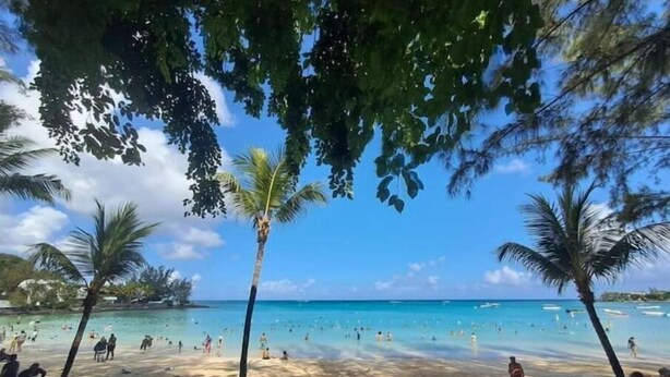A beach with palm trees, clear blue water, and people sunbathing. - Villa Des Quatre Saisons (Pereybere)