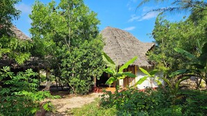 Uma casa com telhado de palha rodeada por vegetação exuberante e um céu azul límpido.