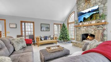 Smart TV, fireplace, books