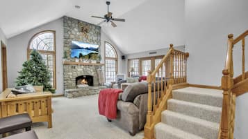 TV connectée, cheminée, livres