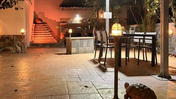 Een terras buiten met stenen vloer, een overdekte zithoek en een decoratieve schildpadbeeldje.