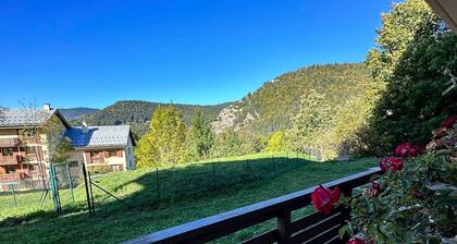 50m² Apartment for 6, West-Facing Balcony, Villard-de-Lans