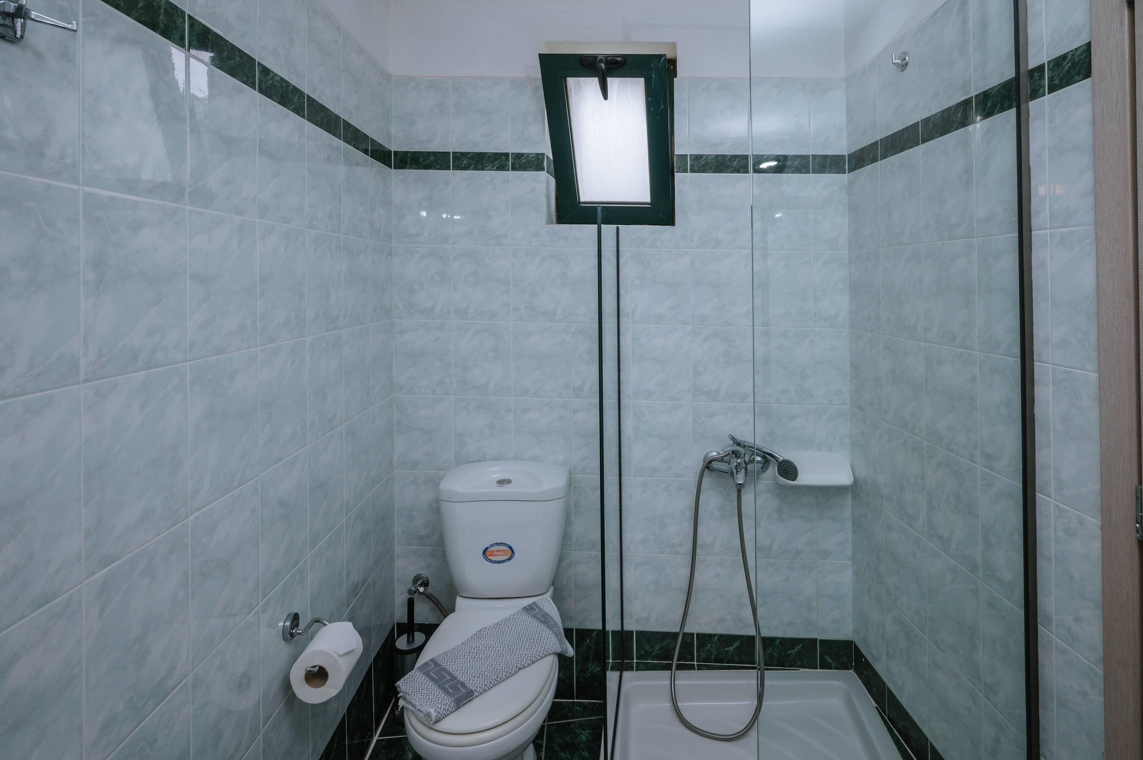 Een kleine badkamer met toilet, douche en toiletrolhouder.