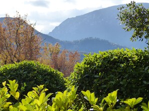 A mountainous landscape with dense foliage in the foreground.