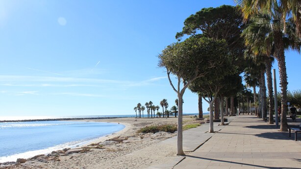 Een boulevard aan het strand met een verharde wandelpad, palmbomen en uitzicht op de oceaan.