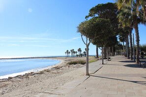 En strandpromenade med en belagt sti, palmer og udsigt over havet.