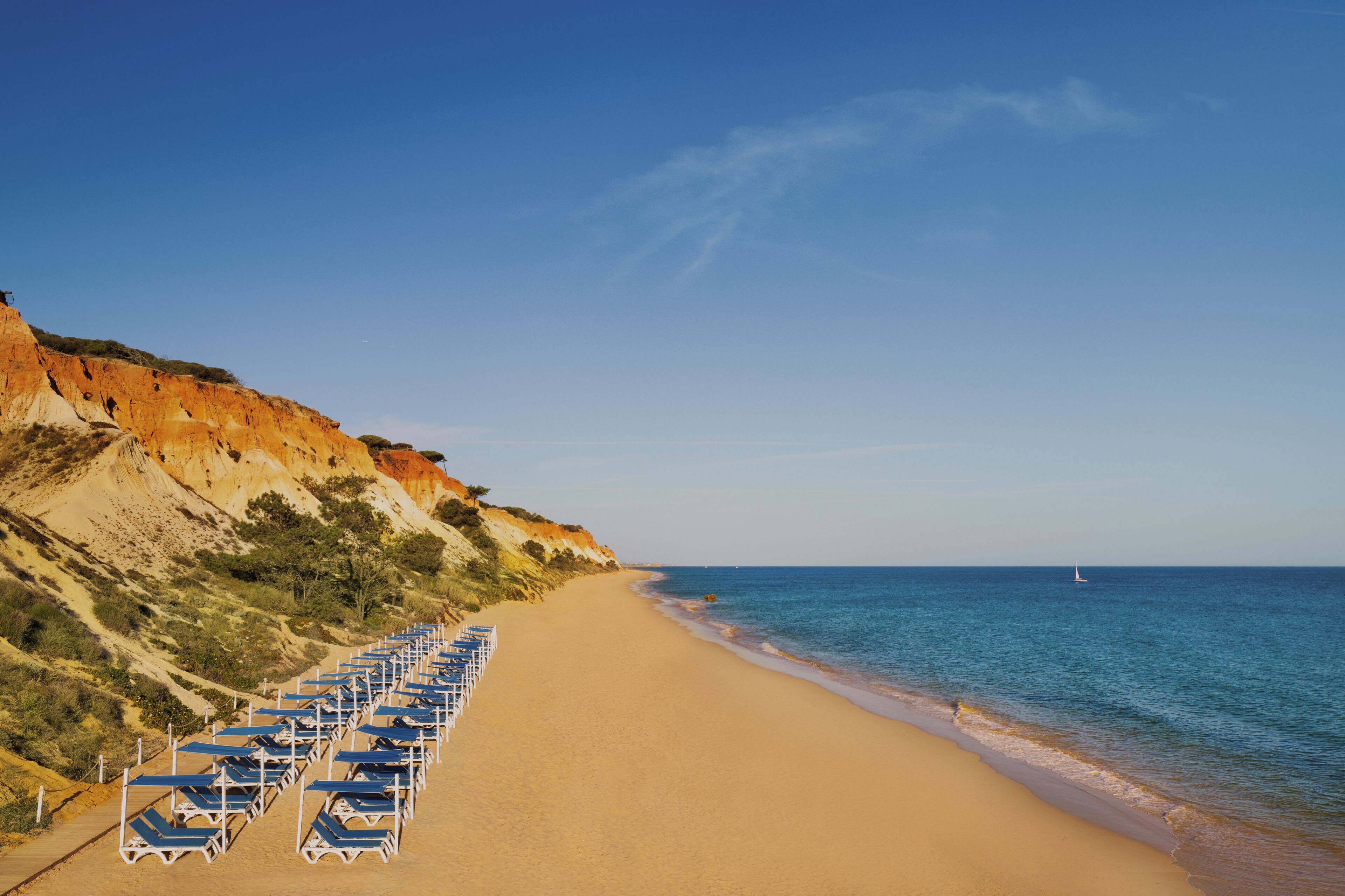A beach with rows of blue lounge chairs and a clear view of the ocean.