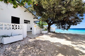 Property grounds - Pixel Paradise Oceanfront Beach House (Kralendijk)