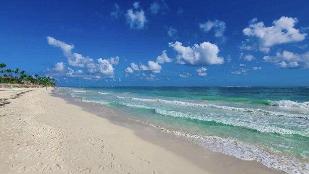 A beach with clear turquoise waters, a sandy shore, and scattered palm trees. - Beautiful 2-bed Apartment in Punta Cana (Punta Cana)
