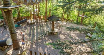 Le Nid de Pajonnière en chartreuse