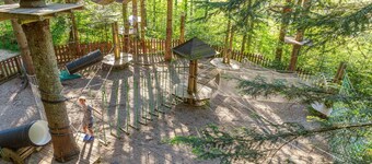 Le Nid de PajonniĂšre en chartreuse