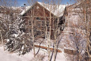 A wooden cabin surrounded by snow-covered trees. - Slate View, Riverbend, Garage, Fishing, Hot Tub! (Crested Butte)