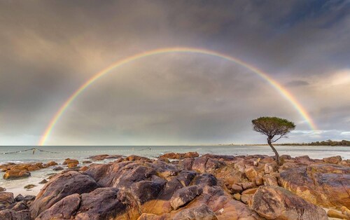 Two for You - HOUSE  plus  STUDIO 