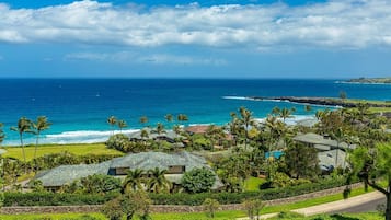 A coastal residential area with houses, a clear view of the ocean, and a well-maintained lawn.