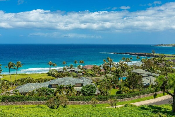 A coastal residential area with houses, a clear view of the ocean, and a well-maintained lawn.