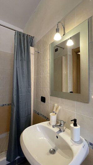 Shower, hair dryer, bidet, towels