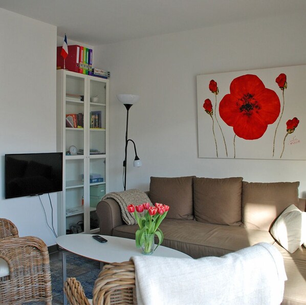 TV, books