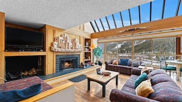 Smart TV, fireplace, DVD player, books