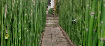 Gîte Familial au Calme Avec Espace Détente