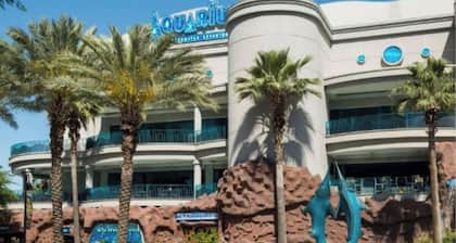 Heart of Houston - 2-BD/1-BA w Kids Playground