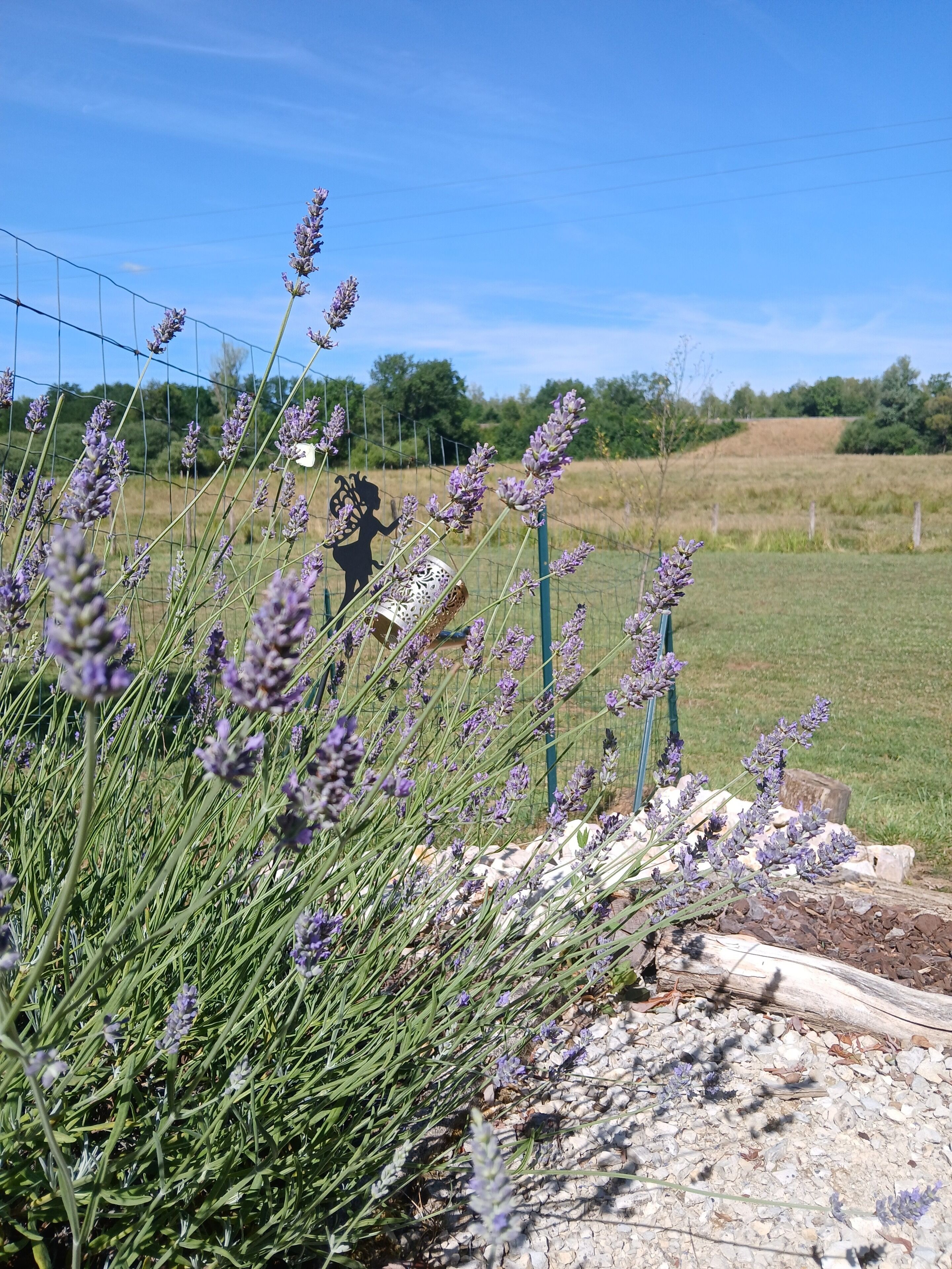 Un jardin agrémenté de plantes de lavande et d’une sculpture métallique décorative.