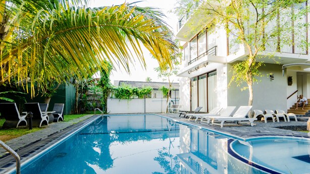 A swimming pool with lounge chairs and a palm tree. - White House 101 (Galle)