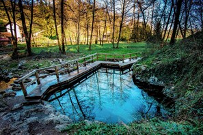 Outdoor pool, a heated pool - Wellness Paradise House Tim (Trebnje)