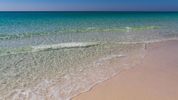 Una playa con agua cristalina y una orilla arenosa.