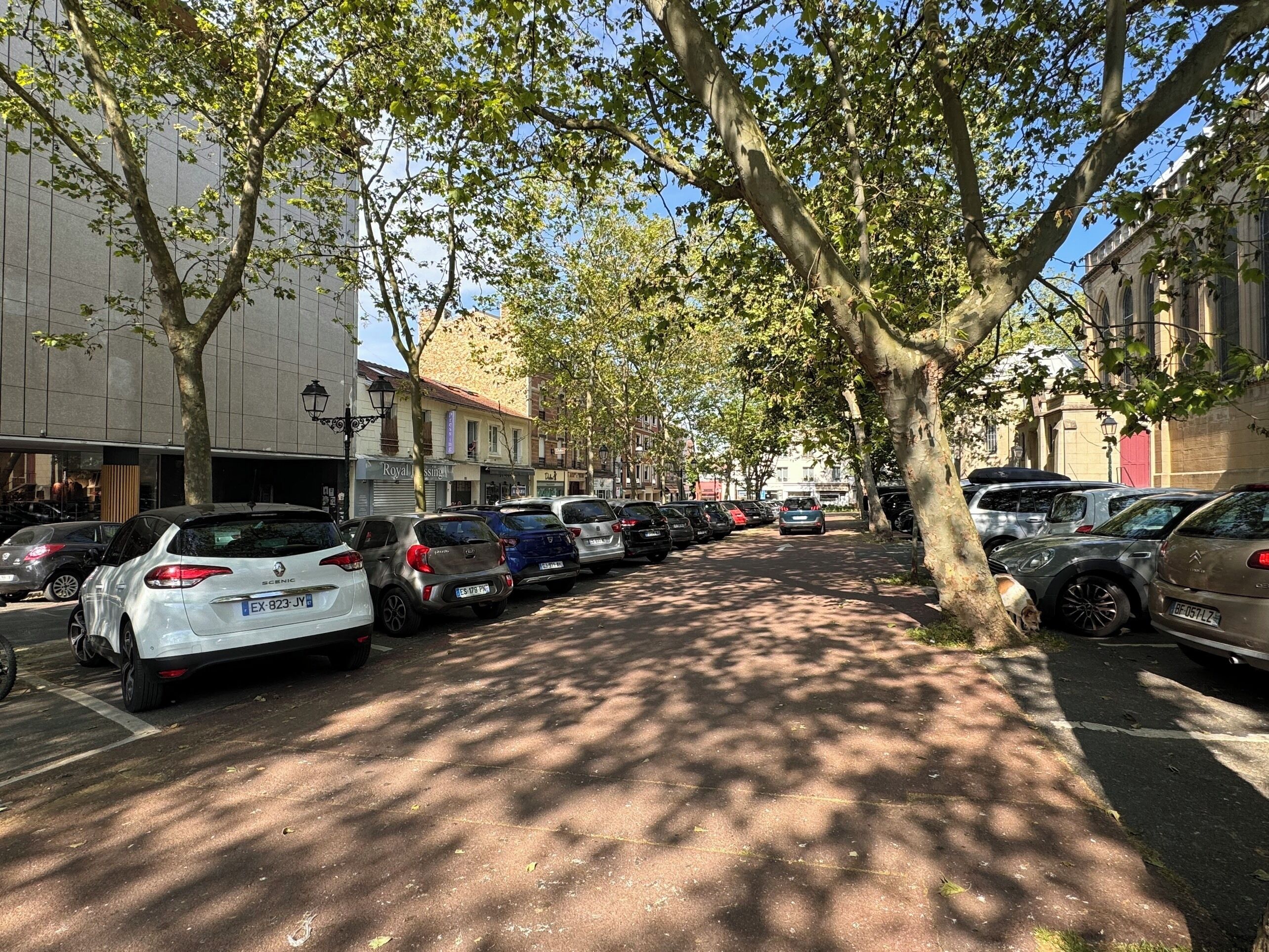 A tree-lined street with parked cars and buildings.