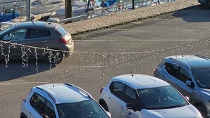 En småbåtshamn med många båtar förtöjda, omgiven av parkerade bilar och en klar himmel.