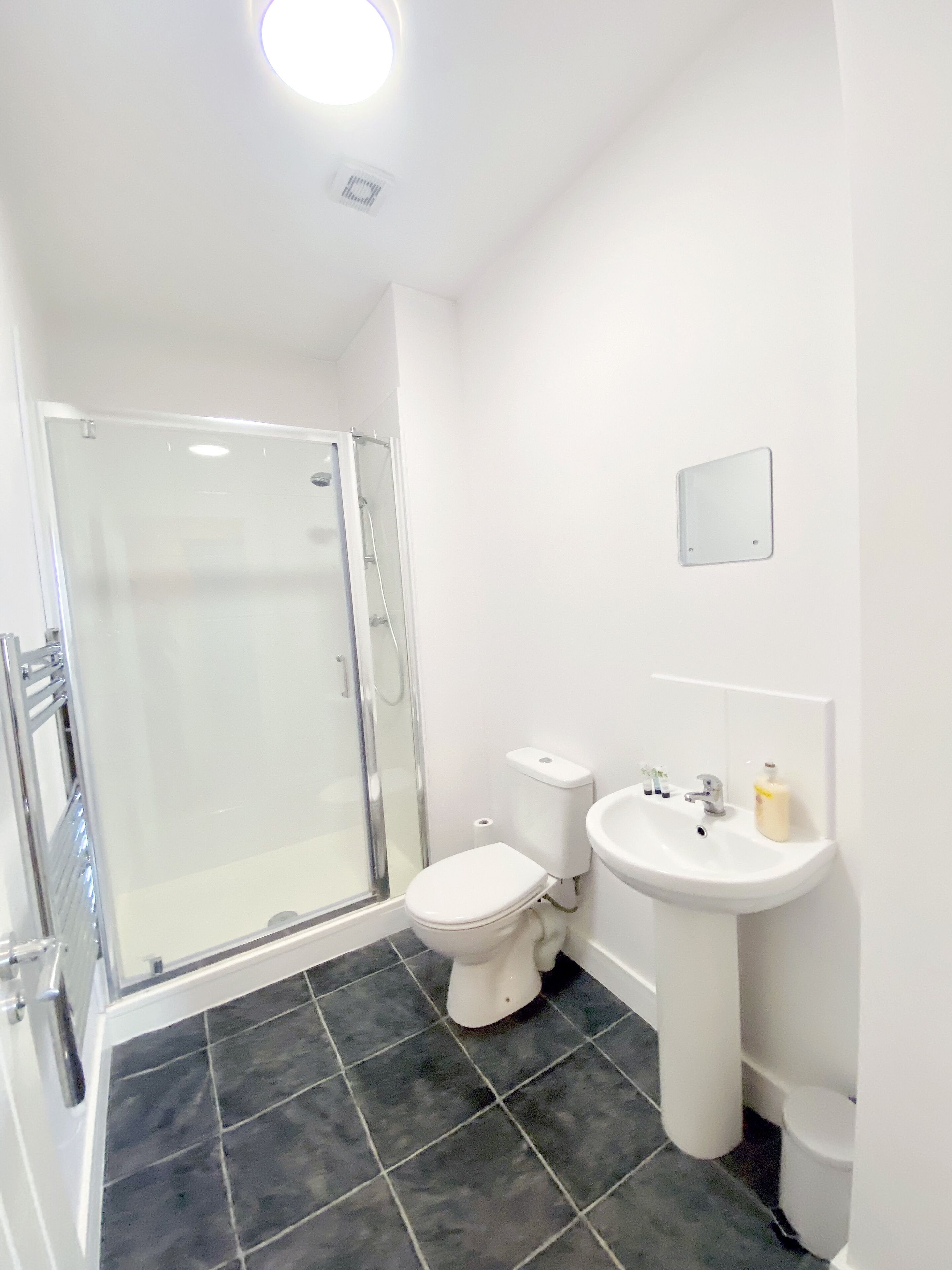 Free toiletries, hair dryer, towels, toilet paper