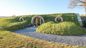 A modern house with a unique grass-covered roof and circular windows. - Tan y Wawr- Onnen (Welshpool)
