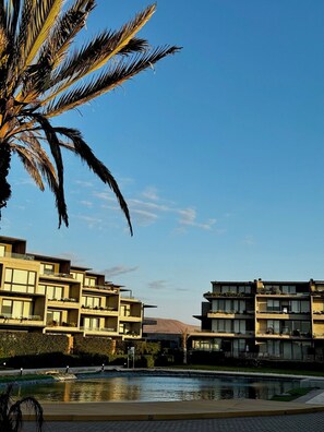 Imagen sin descripción, 5 de 22, botón