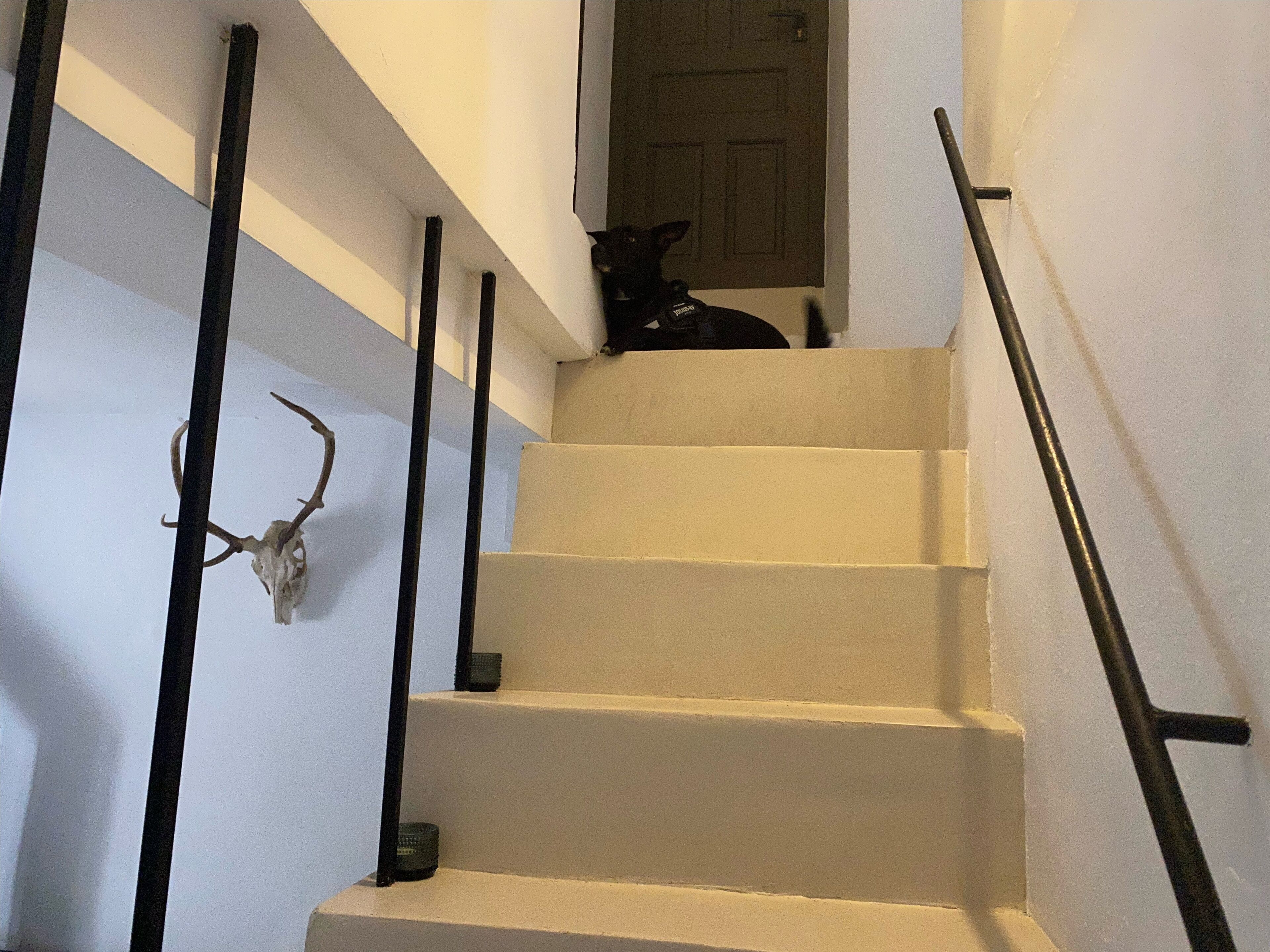 A staircase with a dog sitting on the landing.