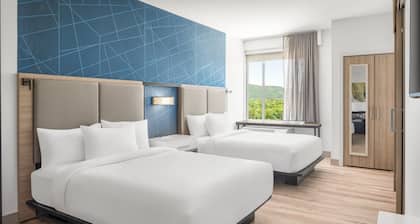 Springhill Suites By Marriott Roanoke North