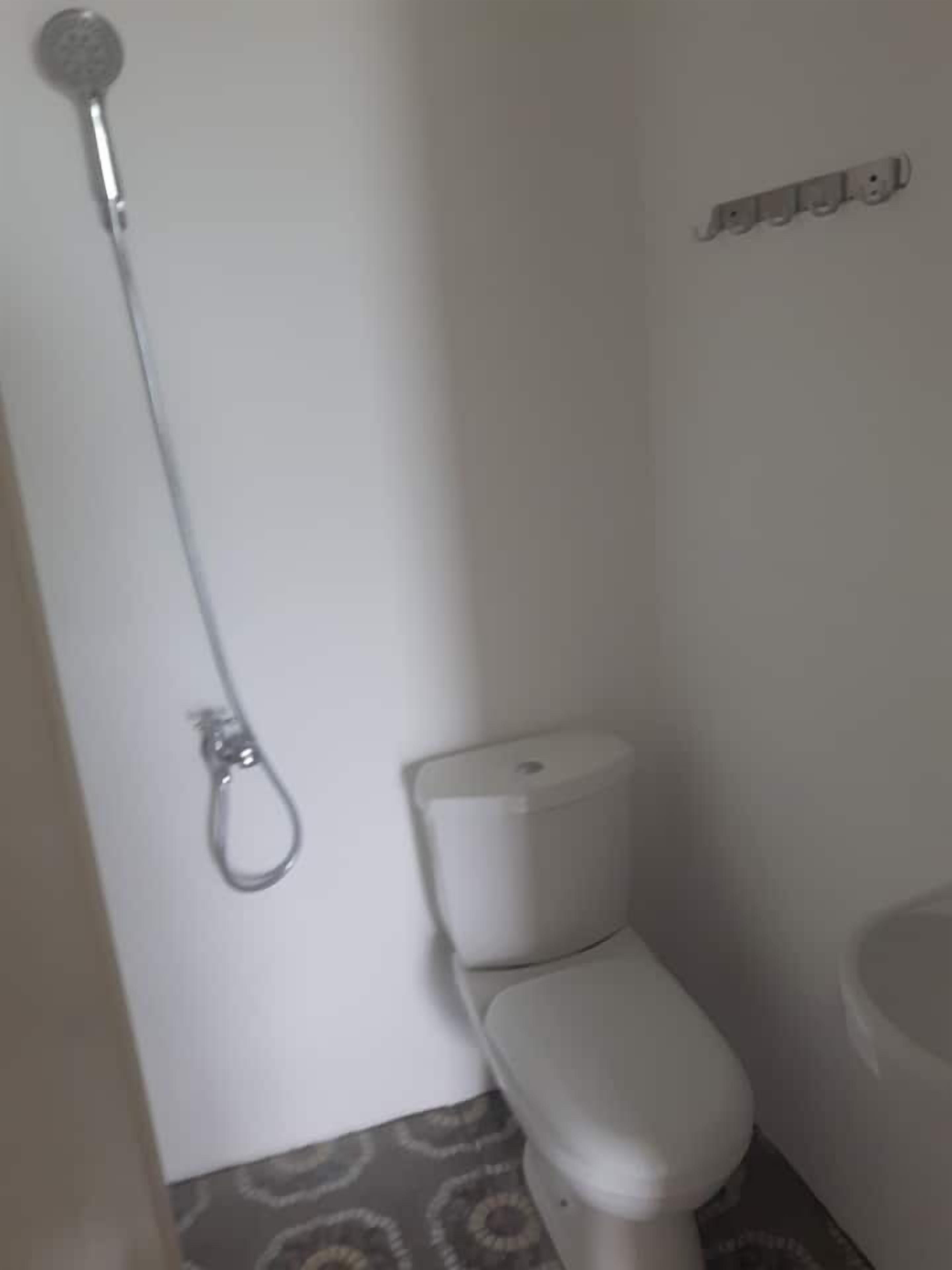 Et lille badeværelse med toilet, bruser og håndvask.