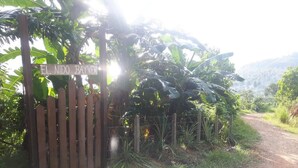 Una puerta de madera con un letrero que dice "EL NIDO BAYENI" en un entorno verde y exuberante.