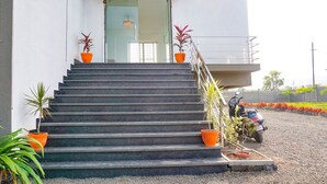 Un conjunto de escalones exteriores que conducen a la entrada de un edificio, con plantas en macetas en la parte superior y una patineta estacionada cerca.