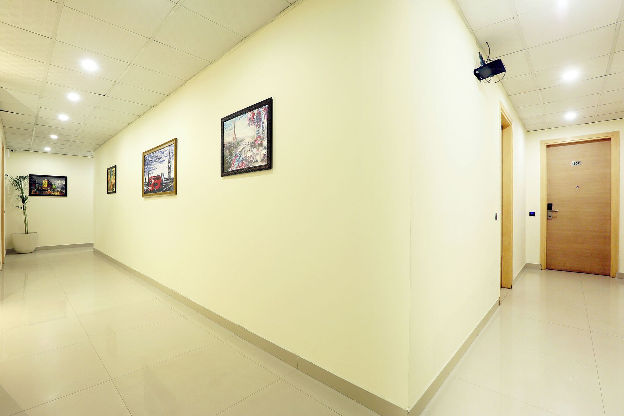 A hallway with three framed artworks on the wall, a potted plant, and a door labeled "307".