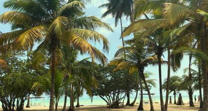 Villa with Garden View