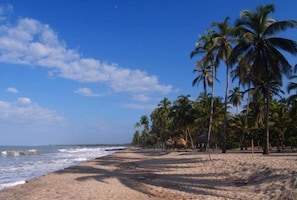 Beach - Deluxe Double Room with Balcony (Palomino)