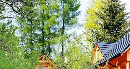 Świeże górskie powietrze, piękny widok z okna, bliskość z naturą.