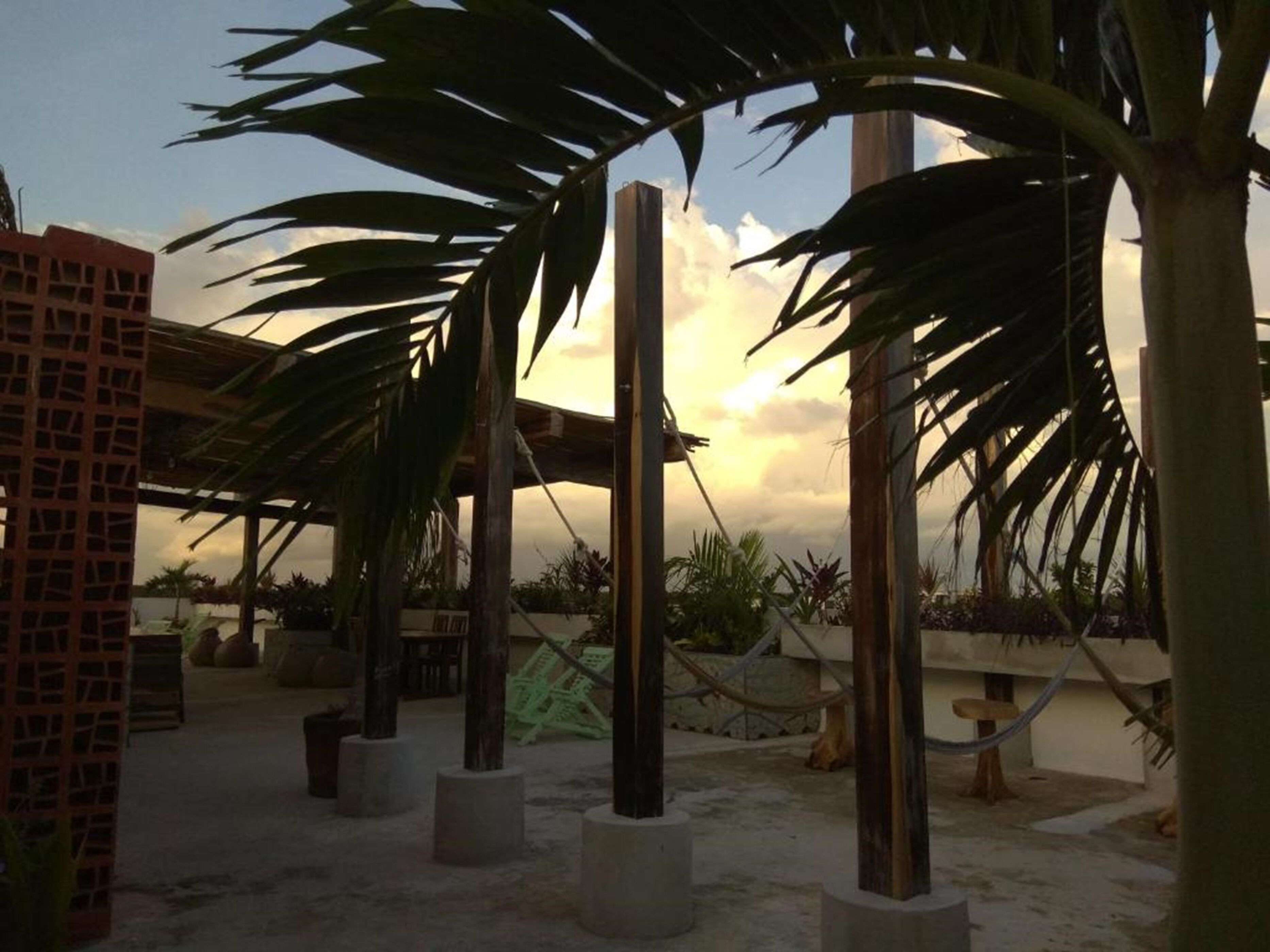 Foto - Hotel La Palmita by MIJ