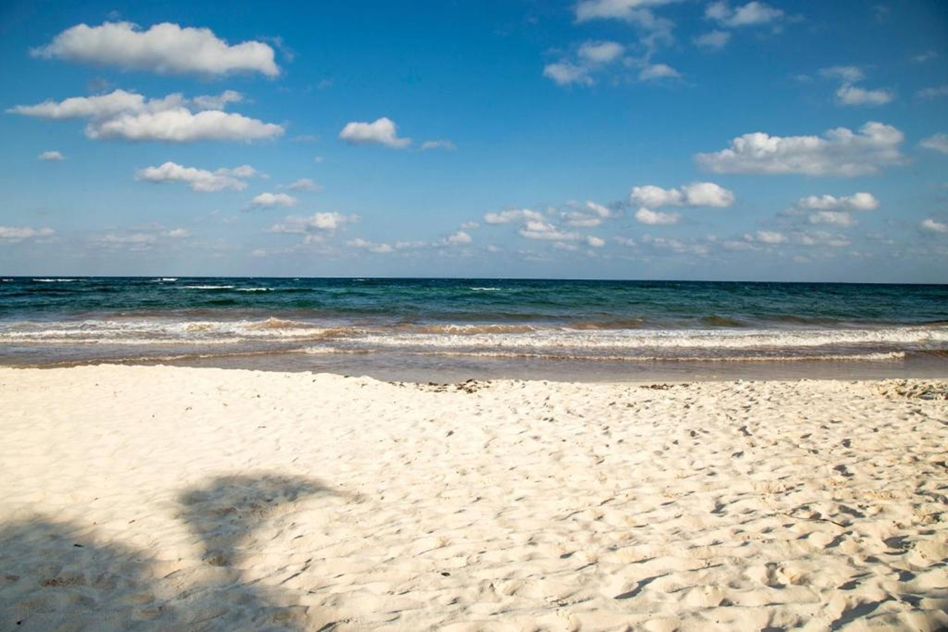 Foto - Hotel La Palmita by MIJ