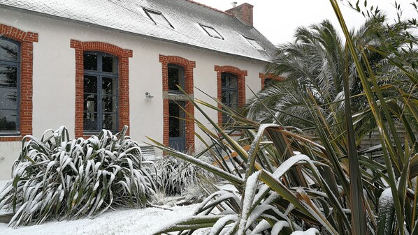 A building with red brick and white walls, multiple windows, and a snow-covered garden with palm plants.